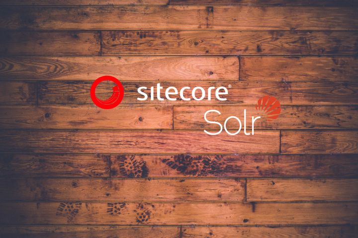 Minimizing Schema Changes to Sitecore Indexes